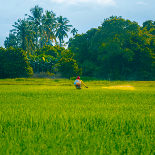 HÓA CHẤT NGÀNH NÔNG NGHIỆP VÀ CHĂN NUÔI