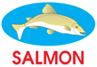 Cân Điện Tử SALMON - Công Ty TNHH Quốc Hùng