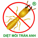 Diệt Mối Trần Anh - Công Ty Cổ Phần Đầu Tư Trần Anh