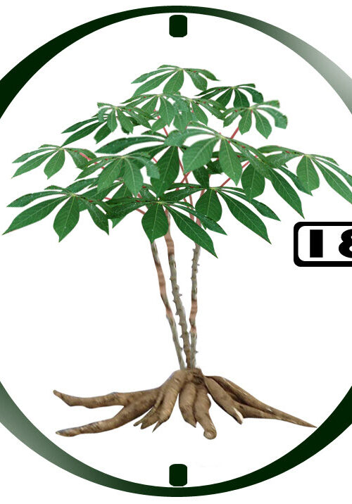 Công Ty TNHH Đồng Nhứt