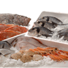 Thực Phẩm Đông Lạnh Kỳ Phong Seafood - Kỳ Phong Seafood
