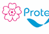 Đồ Dùng Khách Sạn Protex - Công Ty TNHH Protex Việt Nam
