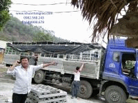 Khuôn Mẫu Bê Tông Minh Thiên - Công  Ty TNHH SX & TM Khuôn Mẫu Bê Tông Minh Thiên