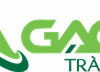 Gạch Tràng An -  Công Ty TNHH An Chi Phương