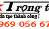 Pin Trọng Tín - Công Ty TNHH PTDevelopment Trọng Tín