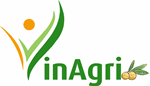 Long Nhãn Hương Việt - Công Ty TNHH Vinagri Việt Nam