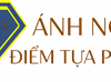 Công Ty Luật TNHH ánh Ngọc Justice & Trust